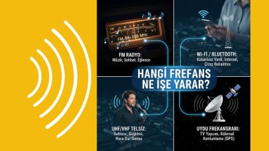 Hangi Frekans Ne İşe Yarar? (Detaylı Rehber)